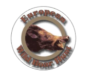 European Wild Boar Hunt